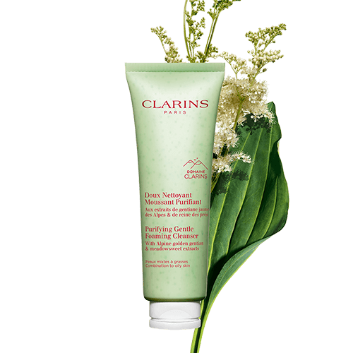 Purifying Gentle Foaming Cleanser